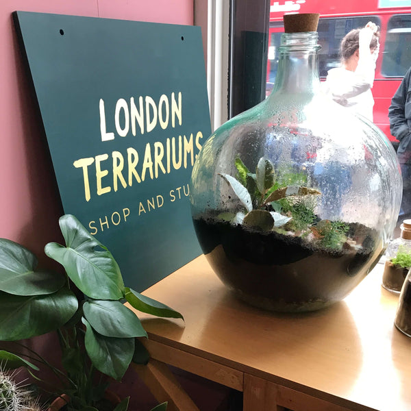 London Terrariums - Emma Sibley - Freedom To Exist - Luxury Unbranded Minimalist Watches