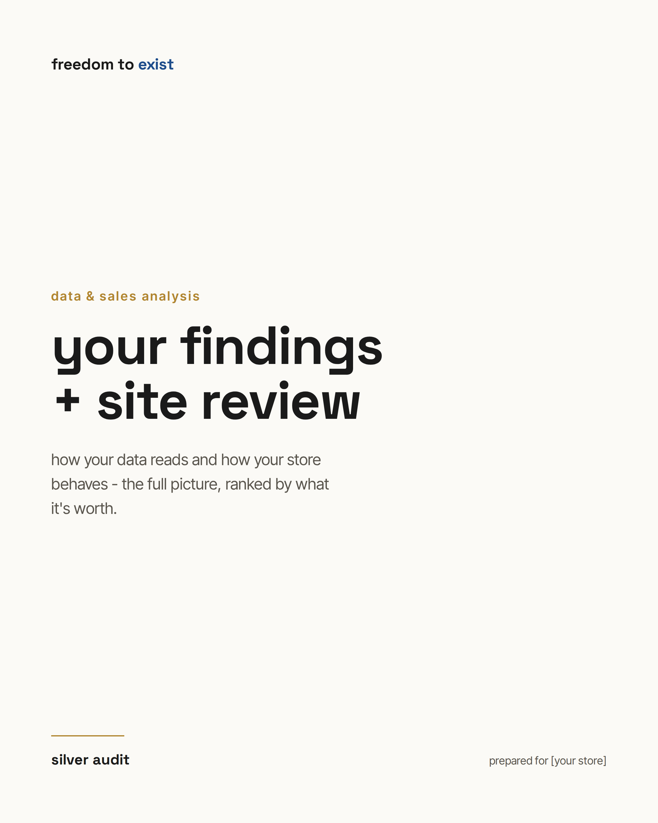 the silver audit